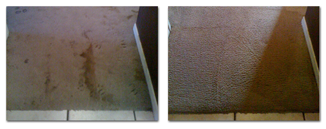 Big Bear Carpet Cleaning Services