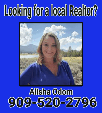 Alisha Odom Realtor Big Bear property management Big Bear CA